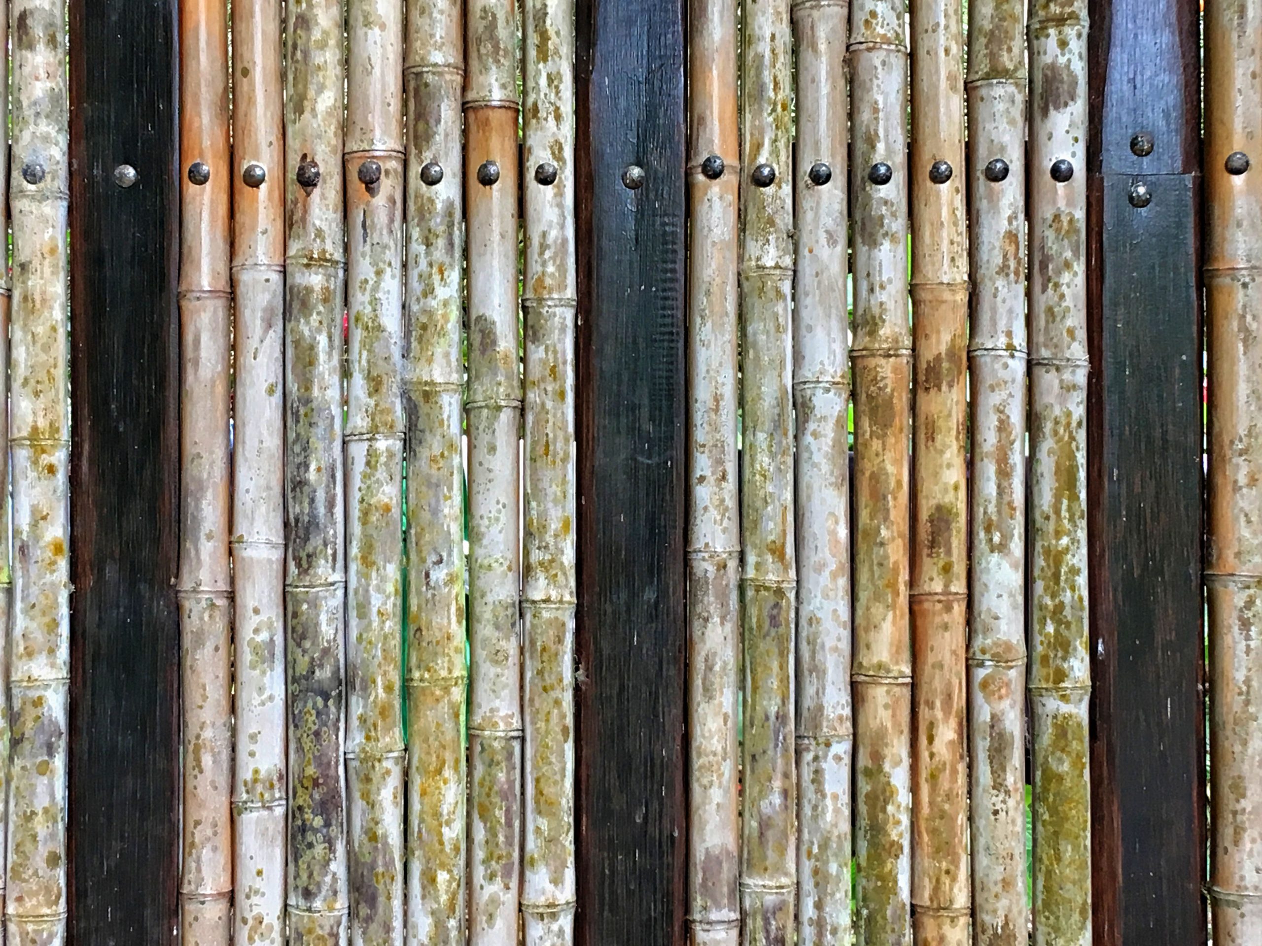 Close-up of a bamboo privacy fence showing natural textures and organic design