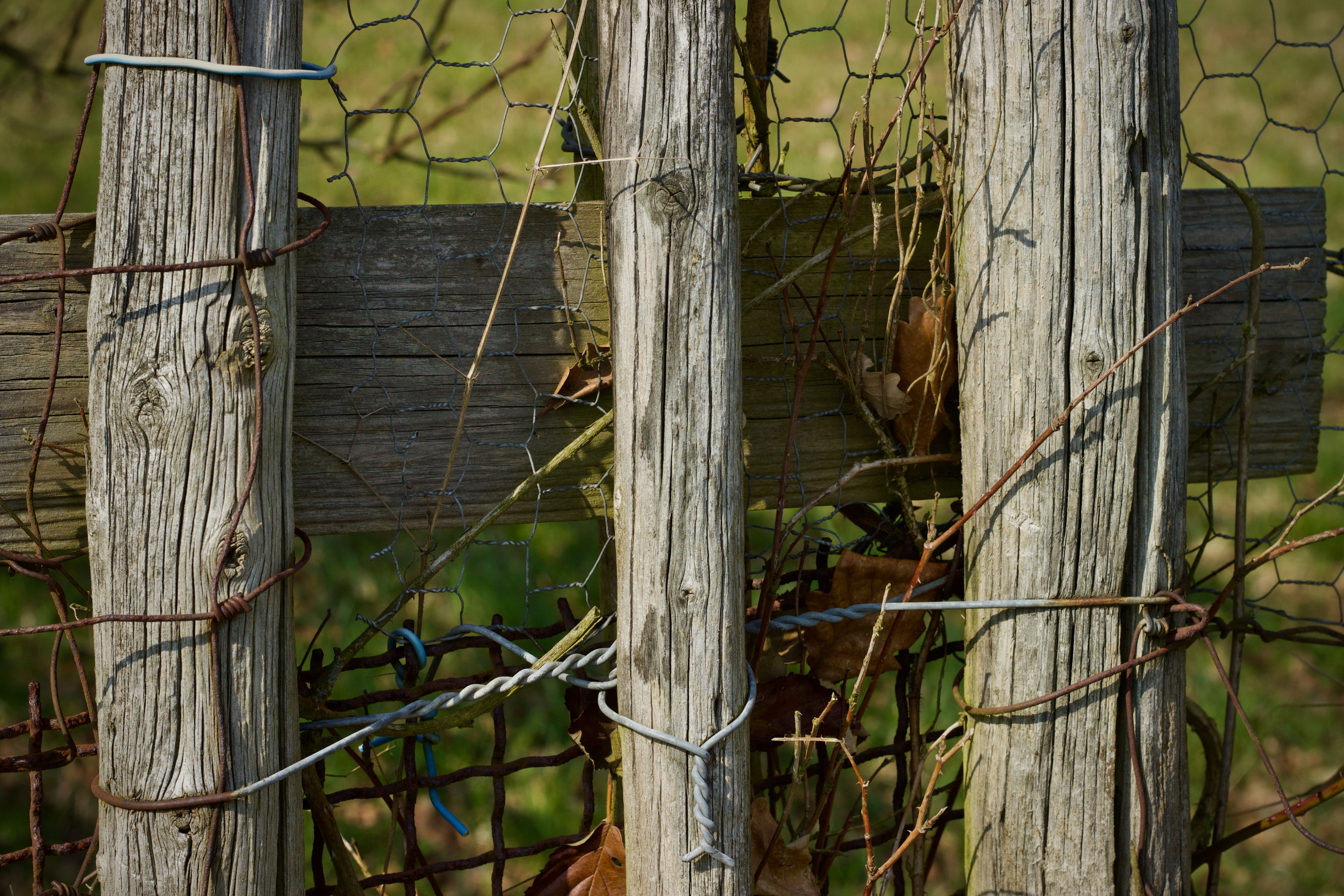 Close-up of a rustic wooden fence bound with wire showing natural textures