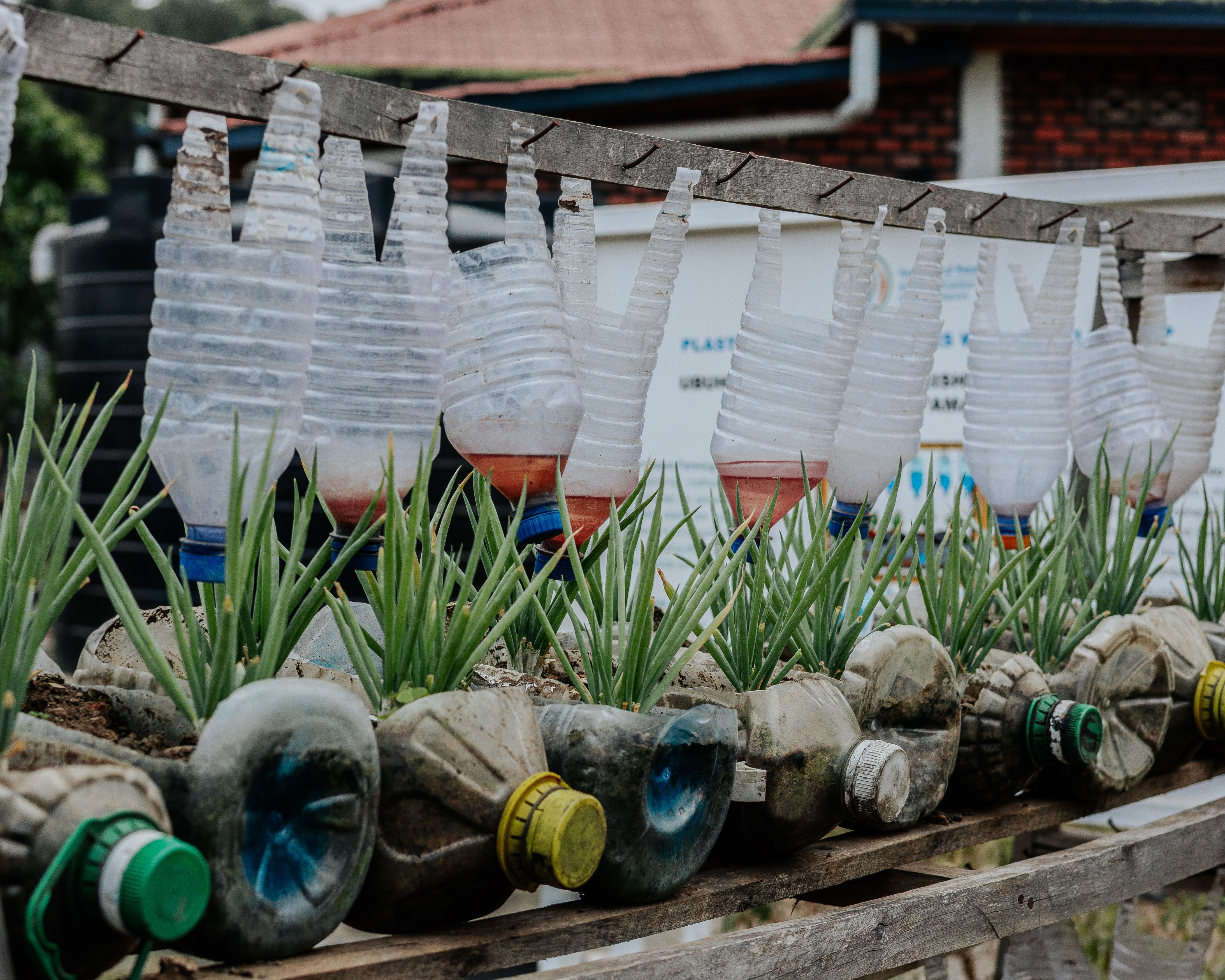 Creative vertical garden made from upcycled plastic bottles with green plants outdoors